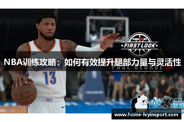 NBA训练攻略：如何有效提升腿部力量与灵活性